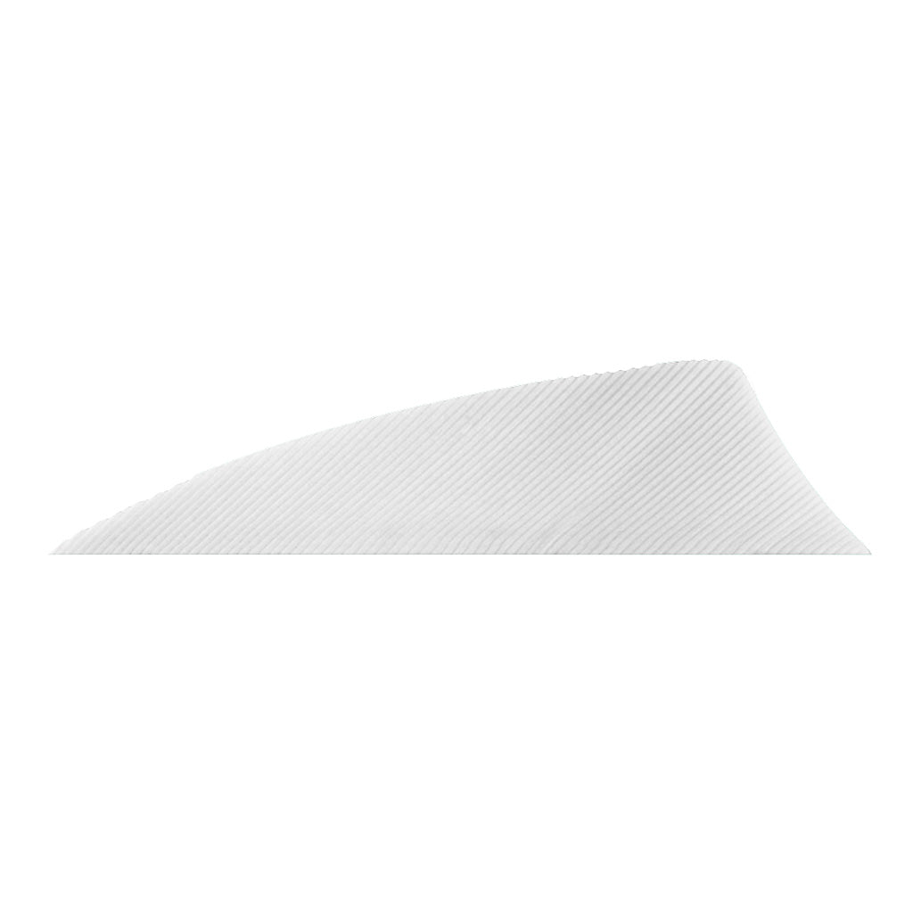 Gateway Rayzr White Right-Wing 2 in. Arrow Feathers 50 pk.