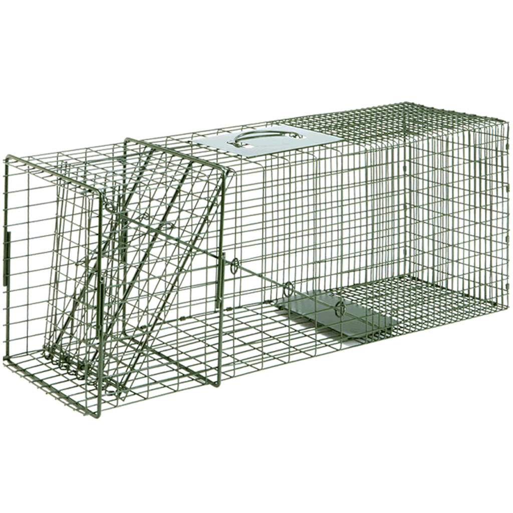 Duke No. 3 Cage Trap with Internal Door System, 10x12x32 In.