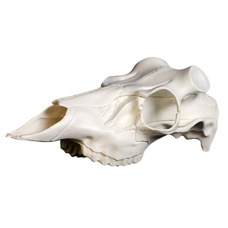 Mountain Mike's Skull Master Antler Mounting Kit with Synthetic Skull