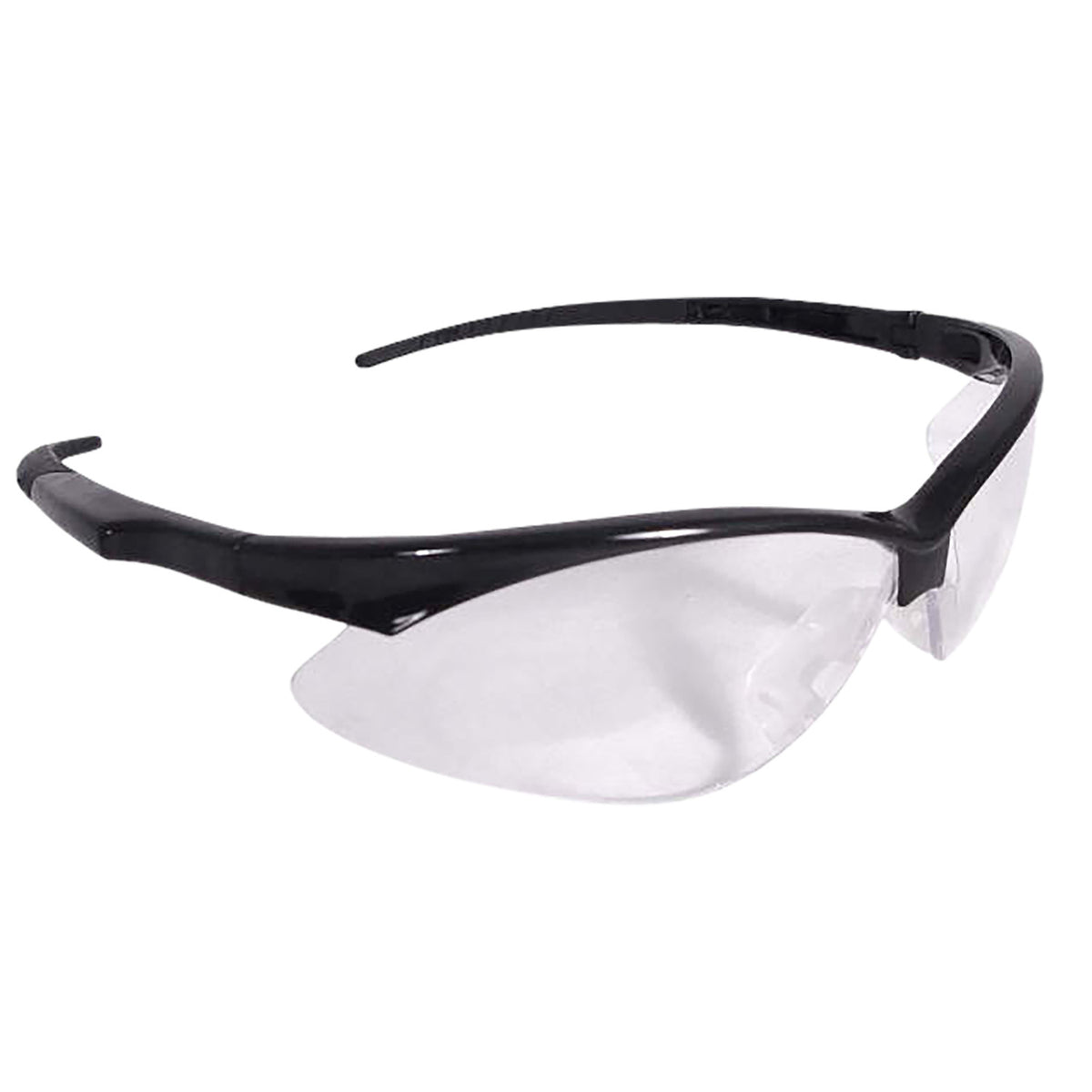 Radians OB0110CS Outback Adult Eye Protection Clear Lens Anti-Fog Black Frame