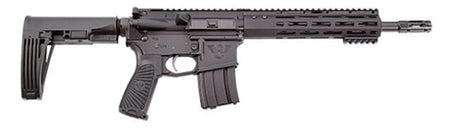 Protector Pistol 300Blk 11.3" Blk 30Rd