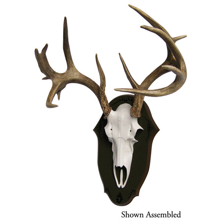 Mountain Mike's Black Forest Deer Trophy Antler Display Kit