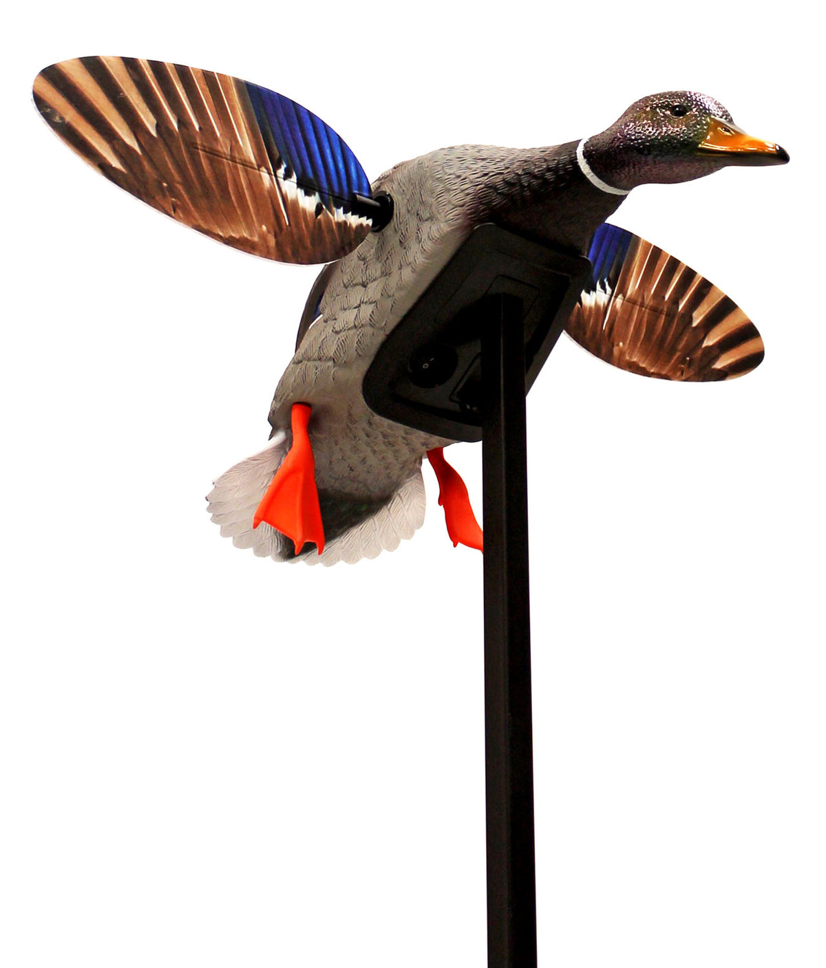 Mojo Outdoors HW24703P Mini Mallard Drake Elite Series Spinning Wing Decoy, Plastic