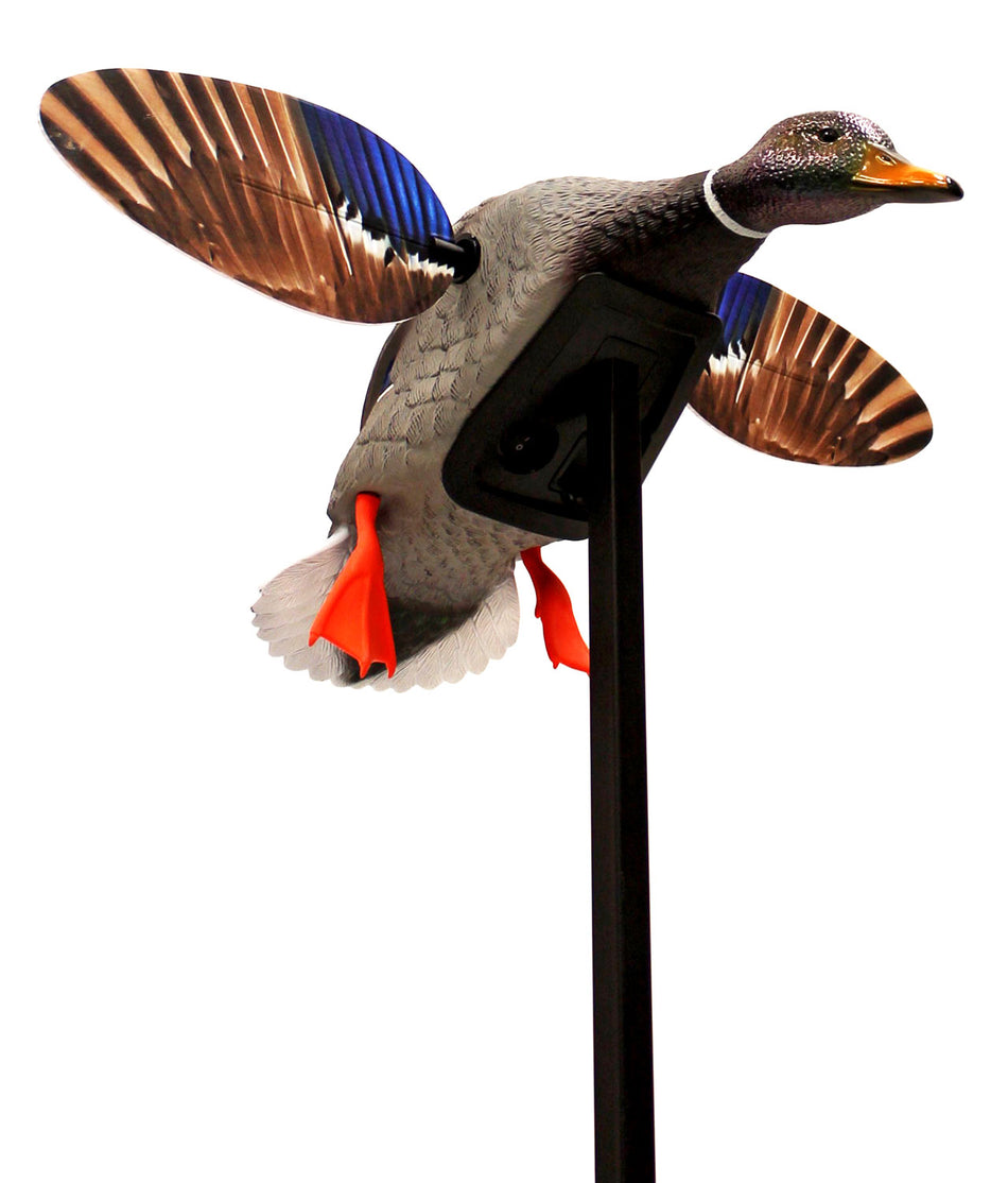 Mojo Outdoors HW24703P Mini Mallard Drake Elite Series Spinning Wing Decoy, Plastic