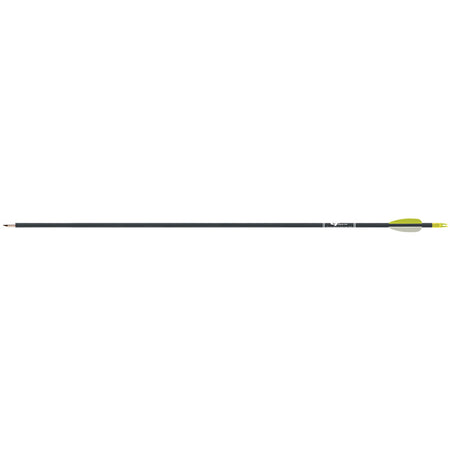 Gold Tip Fiberglass Pre-Fletched Arrows Black, 12 Pack