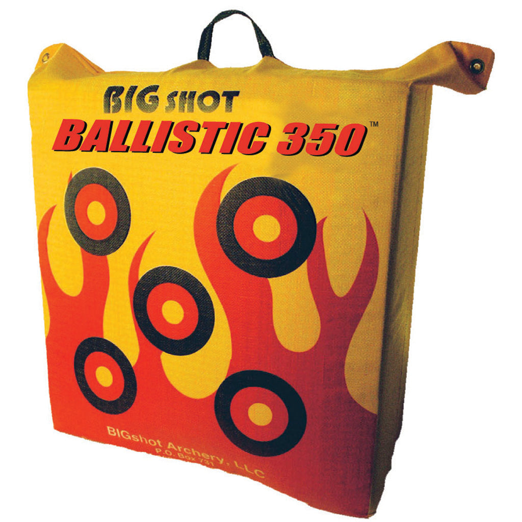 Big Shot Ballistic 350 FPS Archery Bag Target with Weather Barrier 24 in.