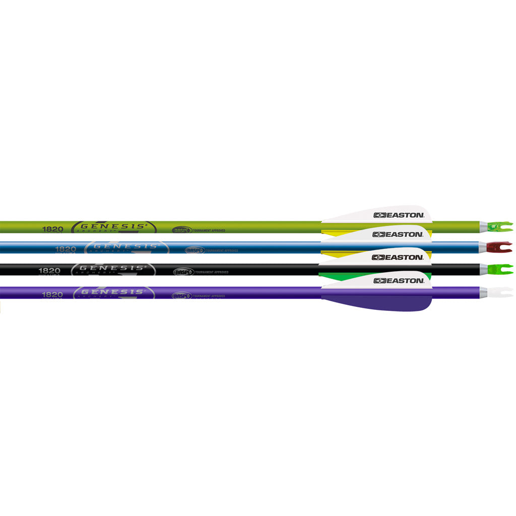 Easton Genesis 72 pk. Arrows 1820 3 in. Vanes Assorted Colors