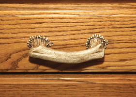 Rivers Edge Hand Painted Antler 4" Drawer Cabinet Handle
