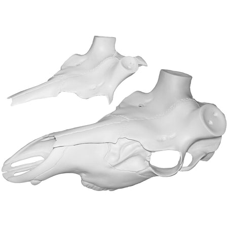 Mountain Mikes Universal Elk Skull Master Antler Mounting Kit
