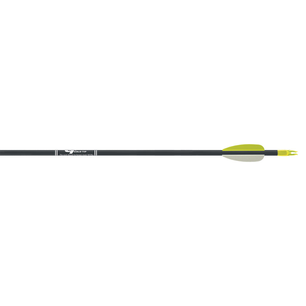 Gold Tip Fiberglass Youth Arrows Black Vanes 6pk.