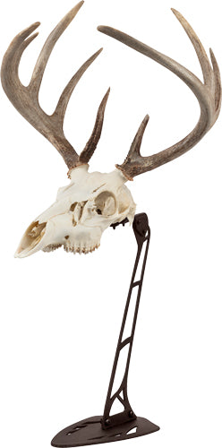 Allen EZ Mount Skull Trophy Centerpiece Stand Brown