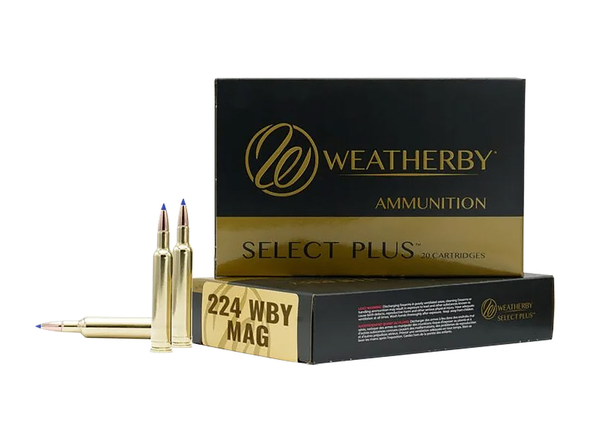 Weatherby .224 Weatherby Mag  37 grain Solid Hollow Point ammunition