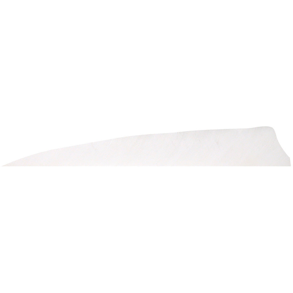 Gateway White Shield Cut 4 in. RW Arrow Feathers 100 Pk.