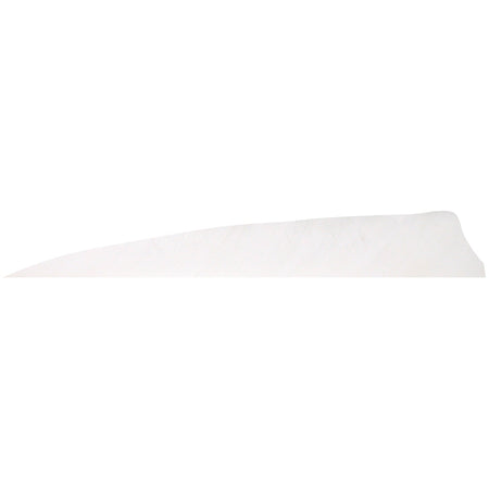 Gateway White Shield Cut 4 in. RW Arrow Feathers 100 Pk.