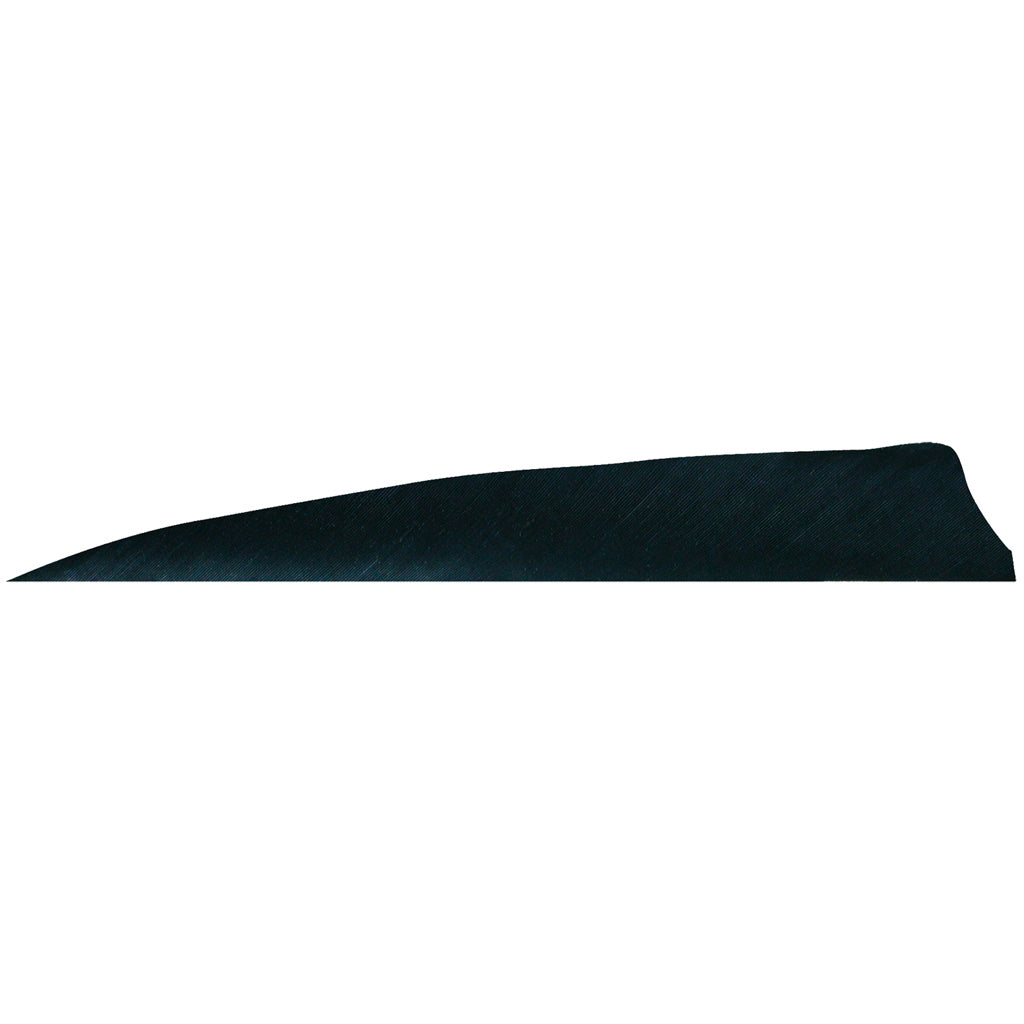 Gateway Black Shield Cut 4 in. RW Arrow Feathers 100 Pk.