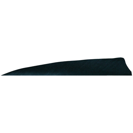 Gateway Black Shield Cut 4 in. RW Arrow Feathers 100 Pk.