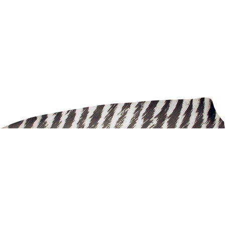 Gateway Barred White Shield Cut 4 in. RW Arrow Feathers 100 Pk.