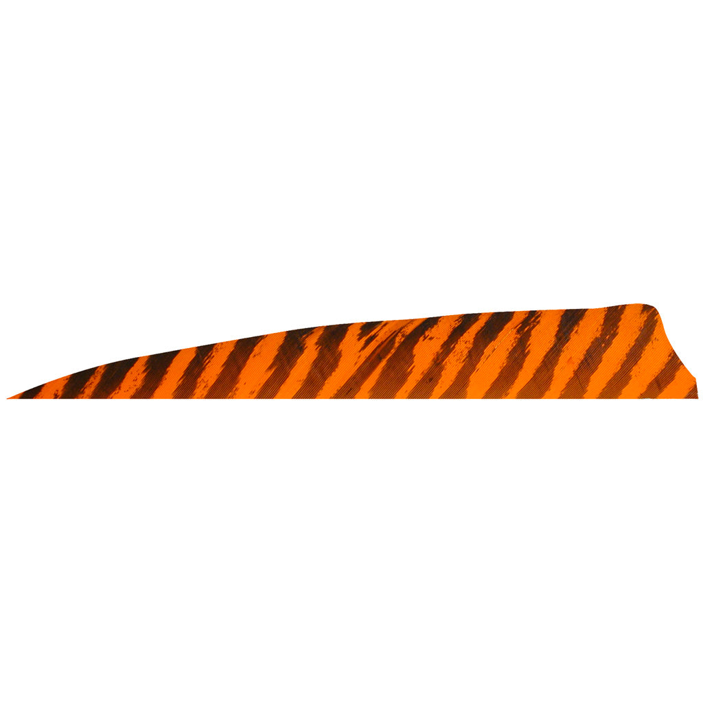 Gateway Barred Orange Shield Cut 4 in. RW Arrow Feathers 100 Pk.