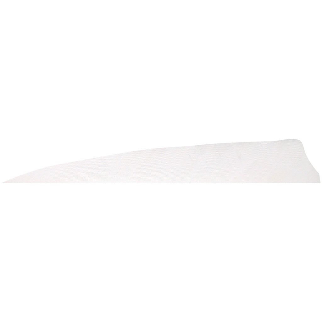 Gateway White Shield Cut 5 in. RW Arrow Feathers 100 Pk.