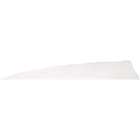 Gateway White Shield Cut 5 in. RW Arrow Feathers 100 Pk.