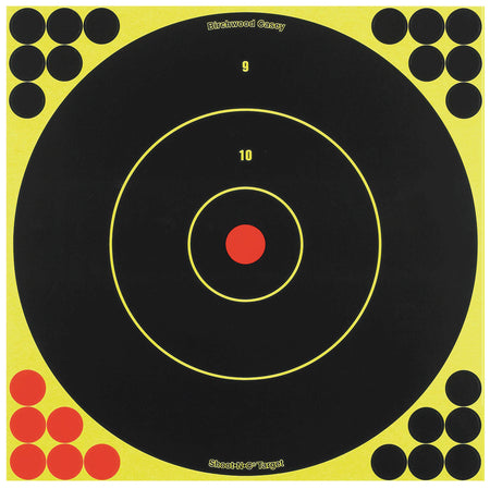 Birchwood Casey 34012 Shoot-N-C 12" Reactive Bullseye Self-Adhesive Targets with Pasters 5 Pack