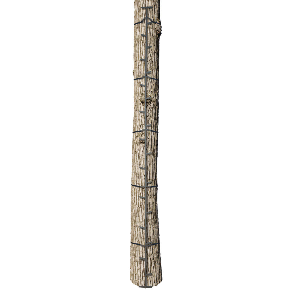 Big Game The Quick-Stick 20 ft. Alternating Step Climbing Sticks
