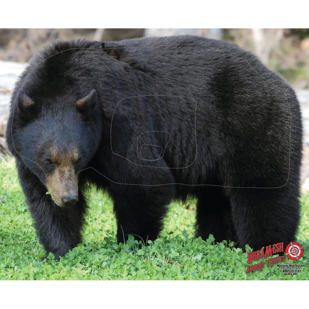 DuraMesh Weatherproof Black Bear Archery Target 25 x 32 in.