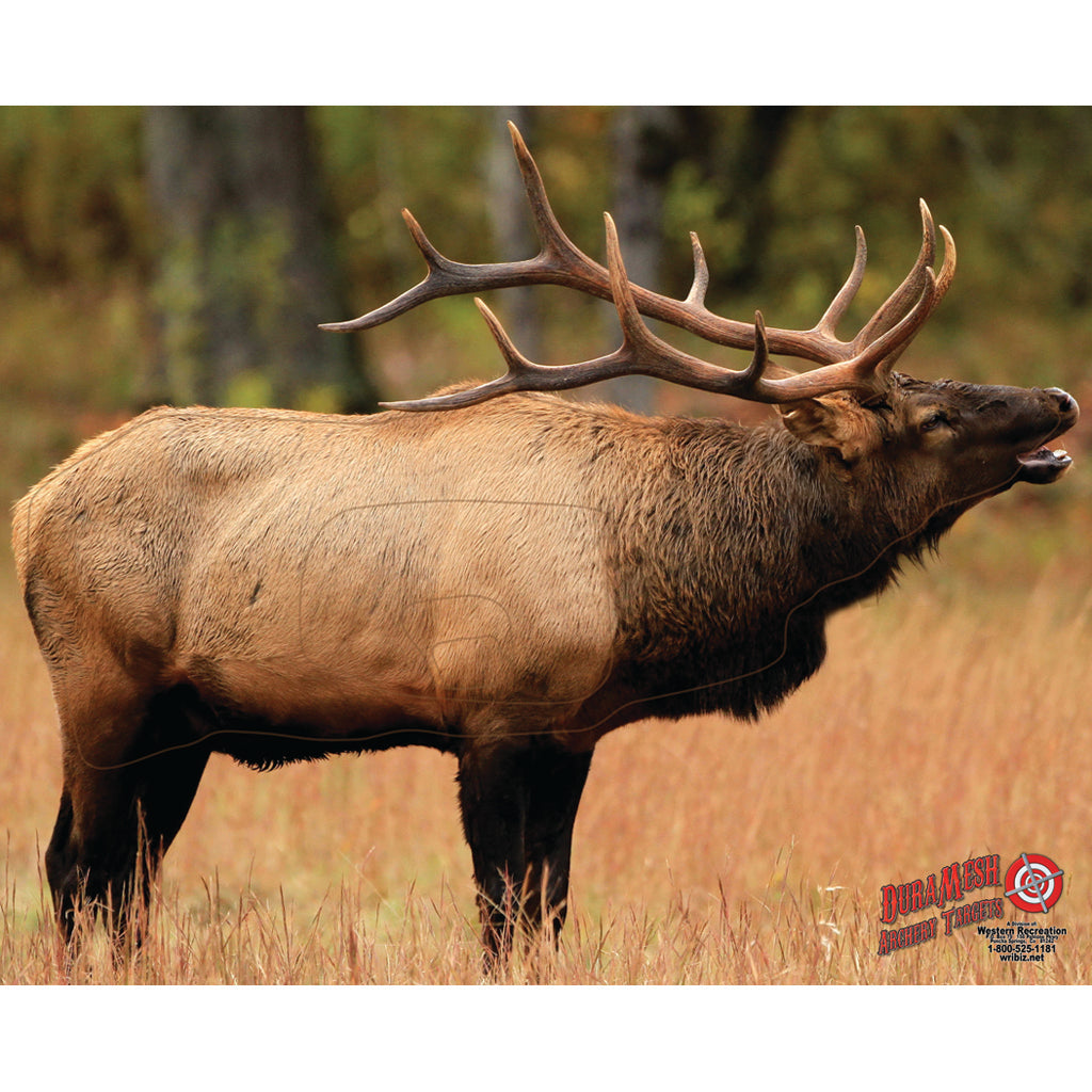 DuraMesh Weatherproof Elk Archery Target 25 x 32 in.