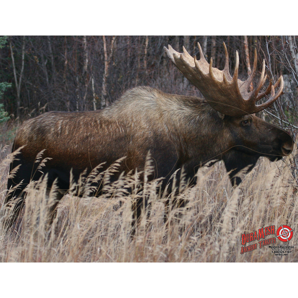 DuraMesh Weatherproof Moose Archery Target 25 x 32 in.