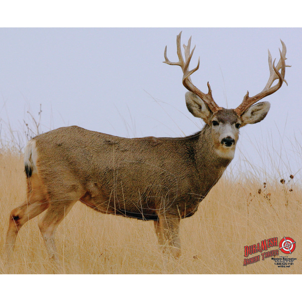 DuraMesh Weatherproof Mule Deer Archery Target 25 x 32 in.