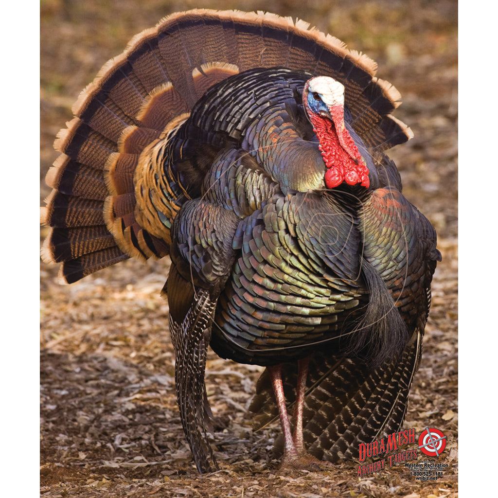 DuraMesh Weatherproof Turkey Archery Target 32 x 25 in.