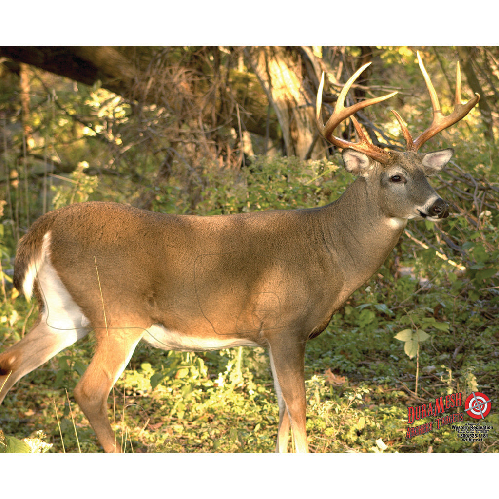 DuraMesh Weatherproof Whitetail Archery Target 25 x 32 in.
