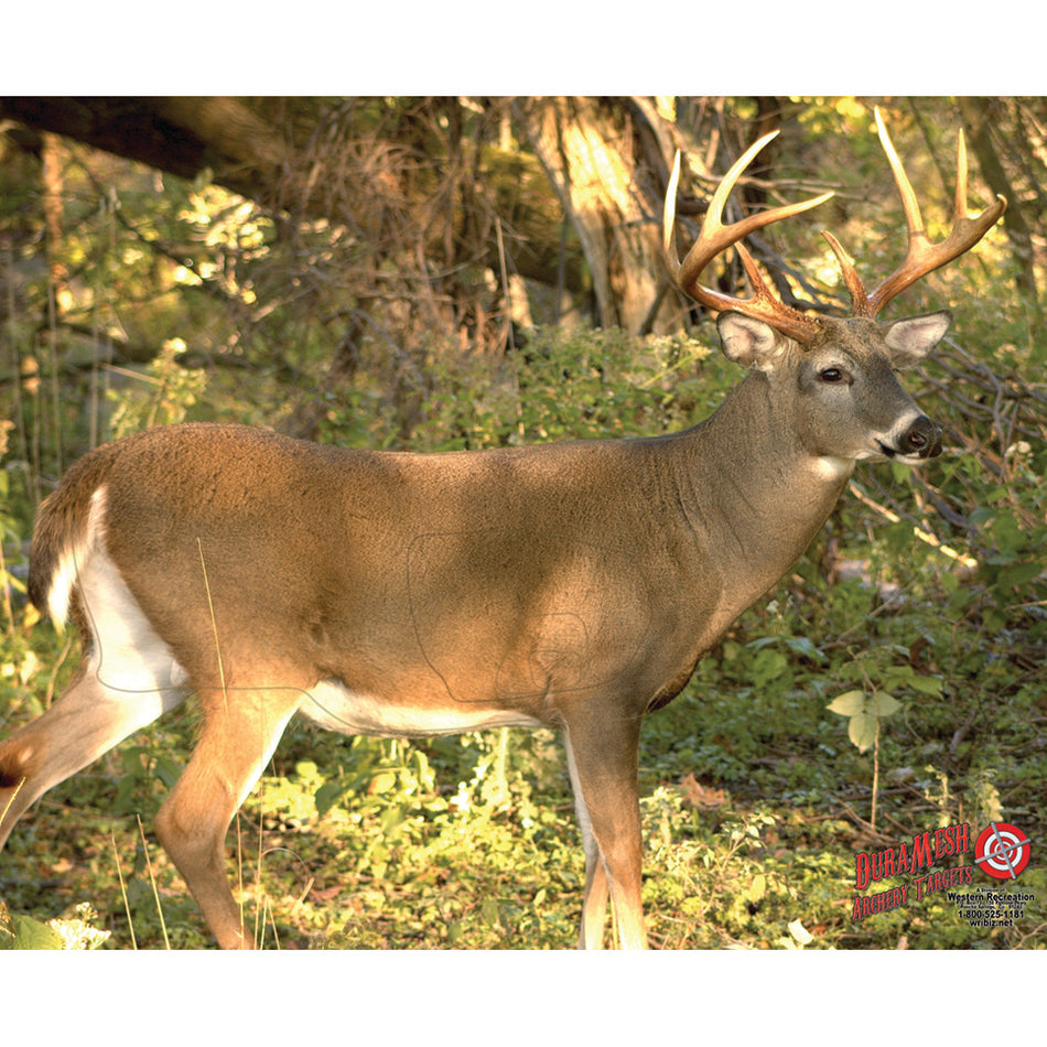 DuraMesh Weatherproof Whitetail Archery Target 25 x 32 in.