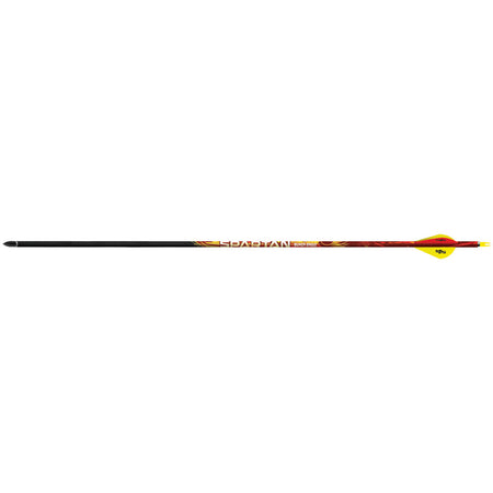 Black Eagle Spartan .001 350 Spine Arrows with Blazer Vanes - 6 pk.