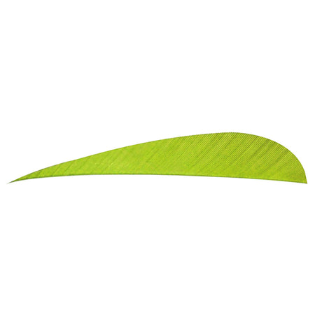 Trueflight Chartreuse Parabolic Arrow Feathers 5 in. LW 100 pk.