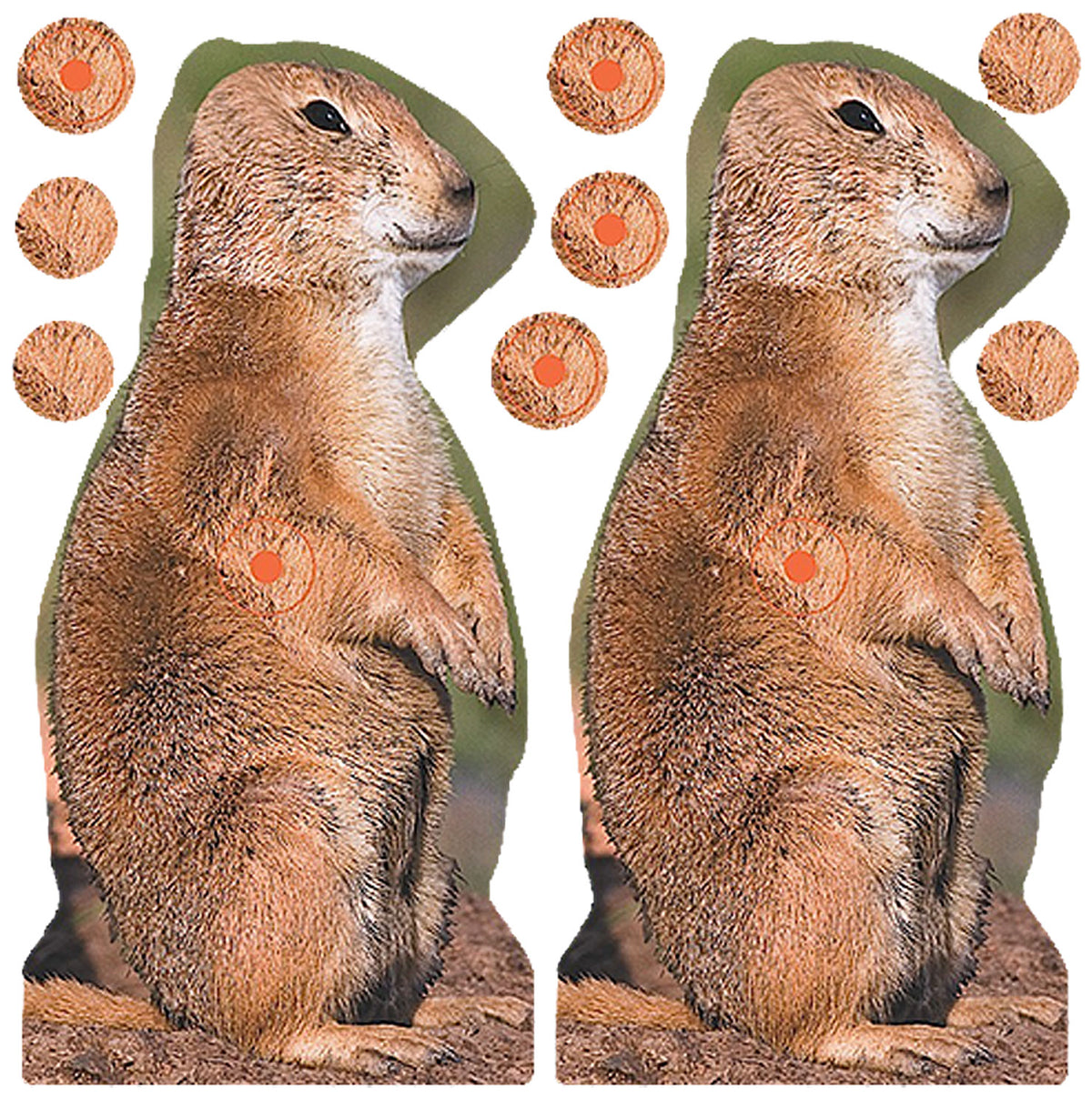 Birchwood Casey 34786 Shoot-N-C Prairie Chuck Self-Adhesive Reactive Target 8" Brown 12 Pack