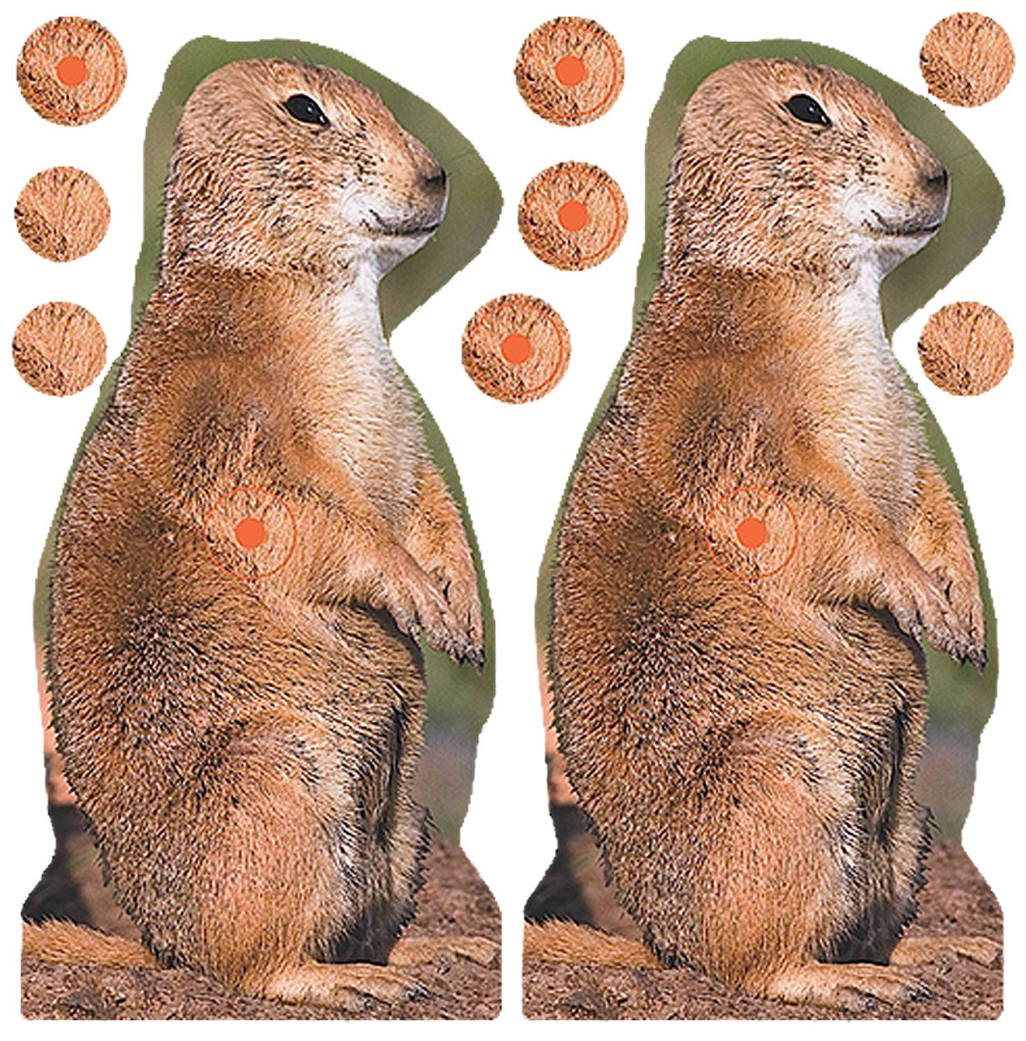 Birchwood Casey 34786 Shoot-N-C Prairie Chuck Self-Adhesive Reactive Target 8" Brown 12 Pack
