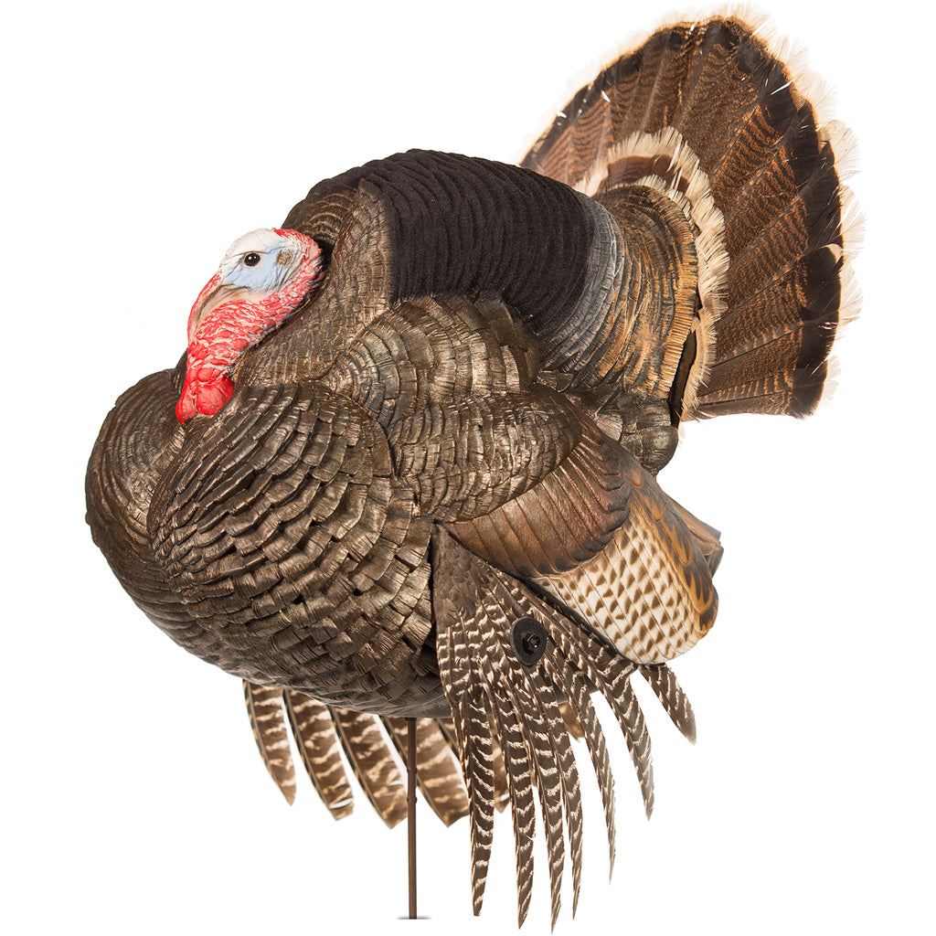 Dave Smith DSD Strutter Turkey Hunting Decoy - Accepts Real Fan and Wings