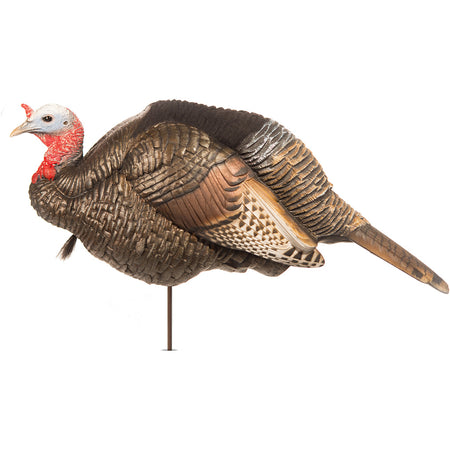 Dave Smith DSD 3/4 Strut Jake Turkey Decoy - Nature-Accurate Appearance