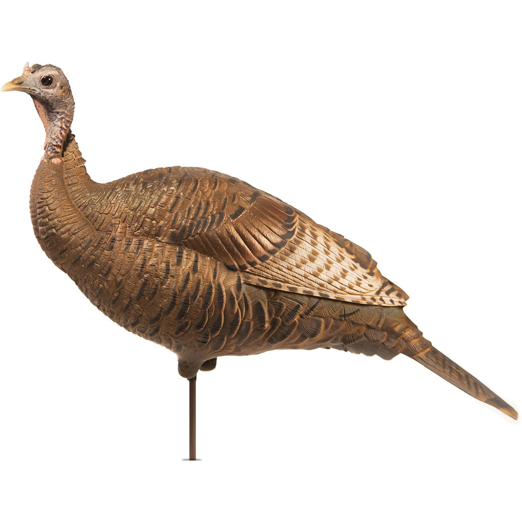 Dave Smith Decoys Upright Hen Turkey Hunting Decoy