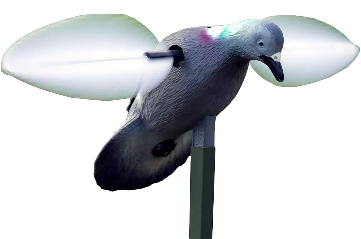 Mojo Outdoors HW2410 Realistic Pigeon Species Decoy, Multi Color Plastic
