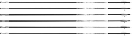 Altra 204 Centrum Premier 300 32 Inch Fletched Arrow 6-Pack