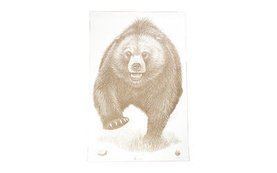 Action Target Alaska State Parks Bear Paper Shooting Target, 23"x35", 100 Count