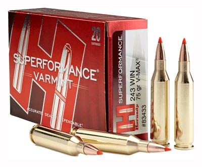 Hornady Superformance Varmint Hornady V-Max 75 Grain .243 Winchester 3580 fps 090255834338