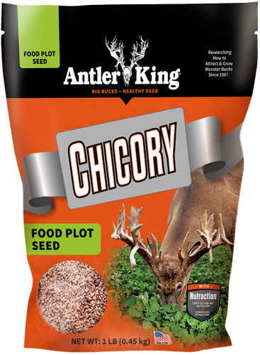 Antler King Chicory 1lb 1/4 Acre Perennial Deer Plot Seed
