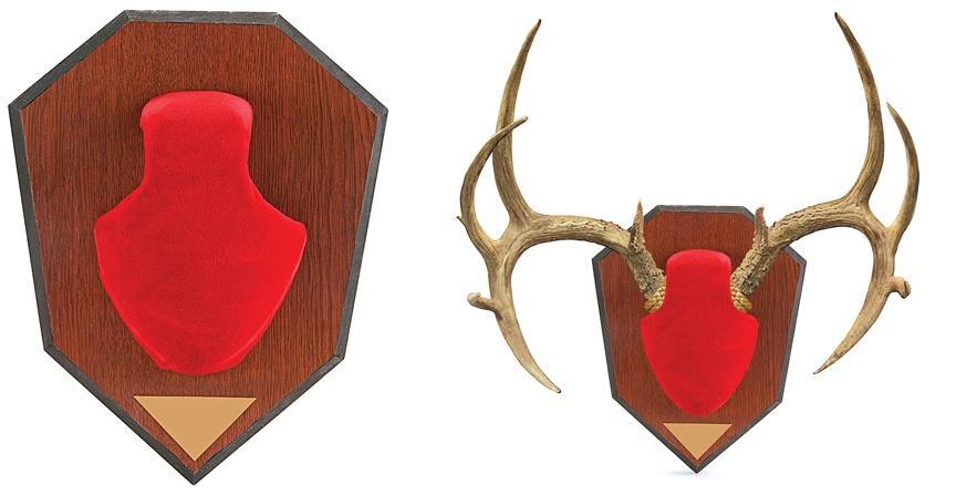 Allen Red Skull Antler Mounting Kit Trophy Plaque