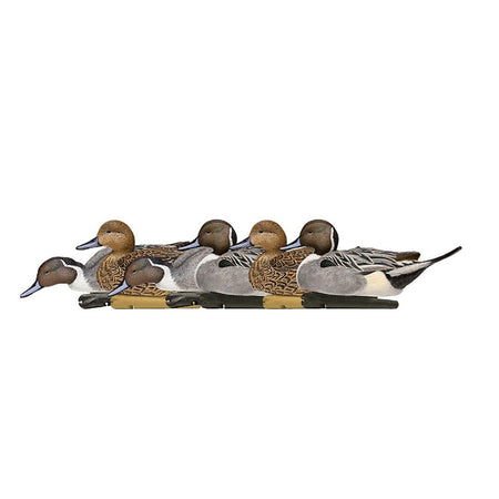 Avian-X Topflight Pintail Duck Hunting Decoys 6/ct Mixed Postures