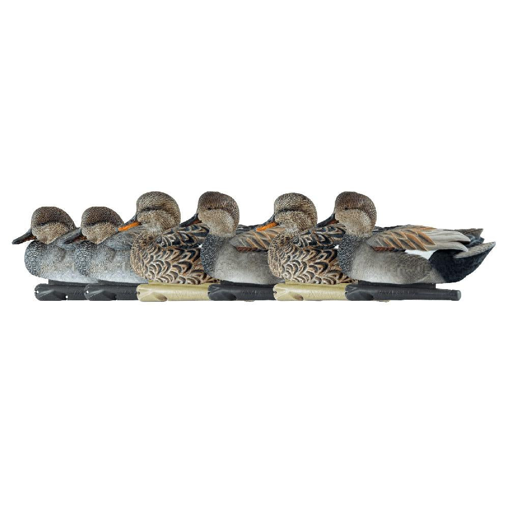 Avian-X Topflight Gadwall Waterfowl Decoys 6 Count True-to-Life