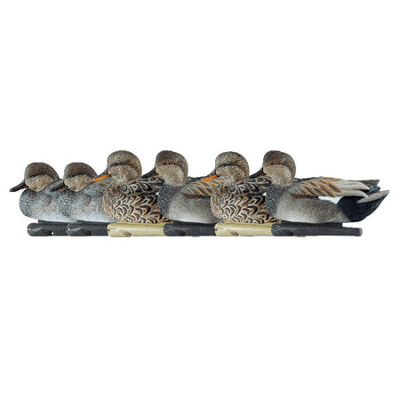 Avian-X Topflight Gadwall Waterfowl Decoys 6 Count True-to-Life