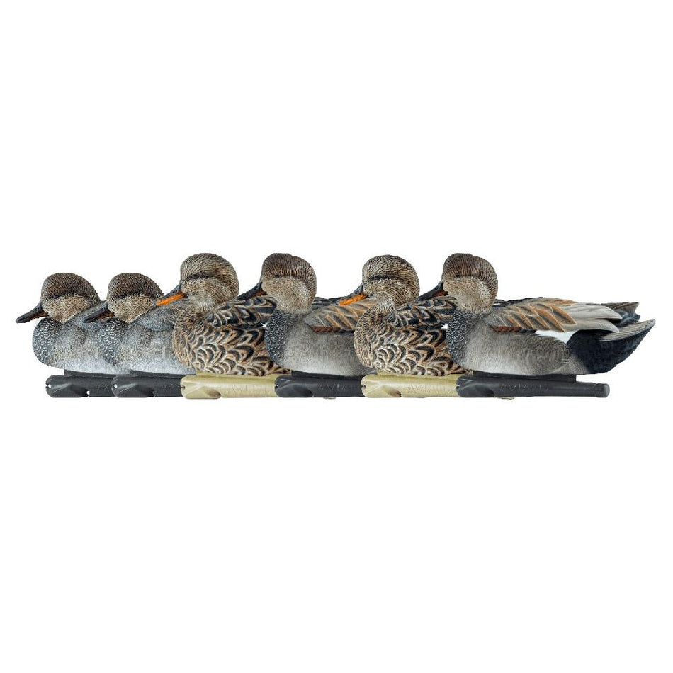 Avian-X Topflight Gadwall Waterfowl Decoys 6 Count True-to-Life